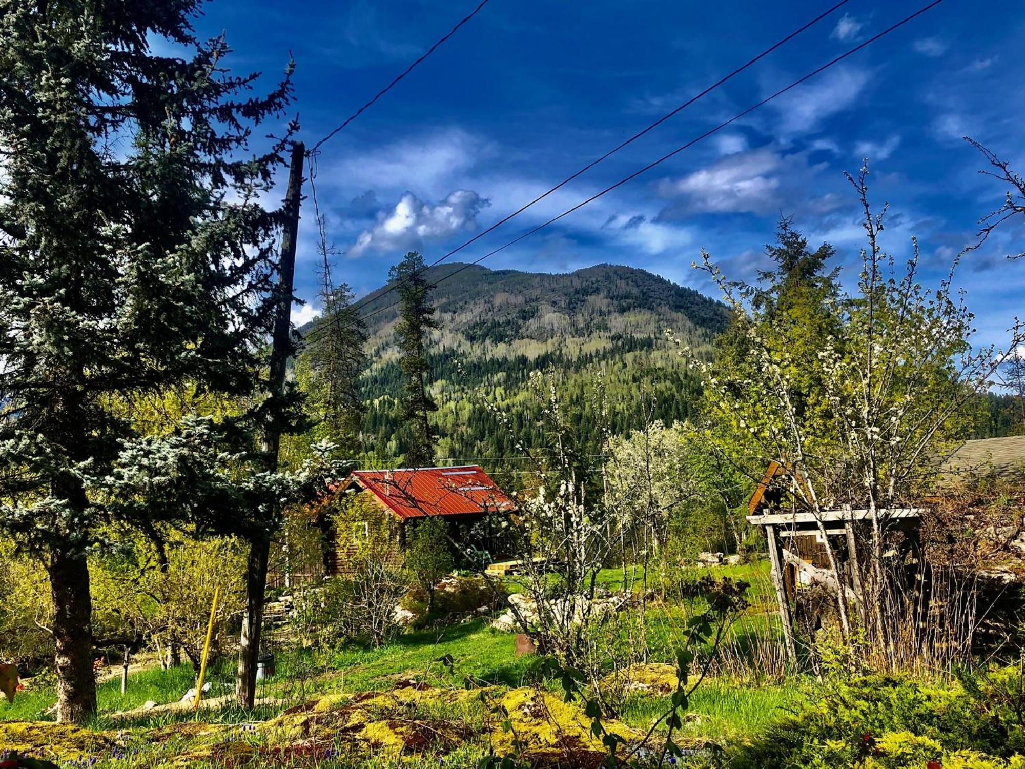 Morning Star Log Cabin Нельсон Экстерьер фото