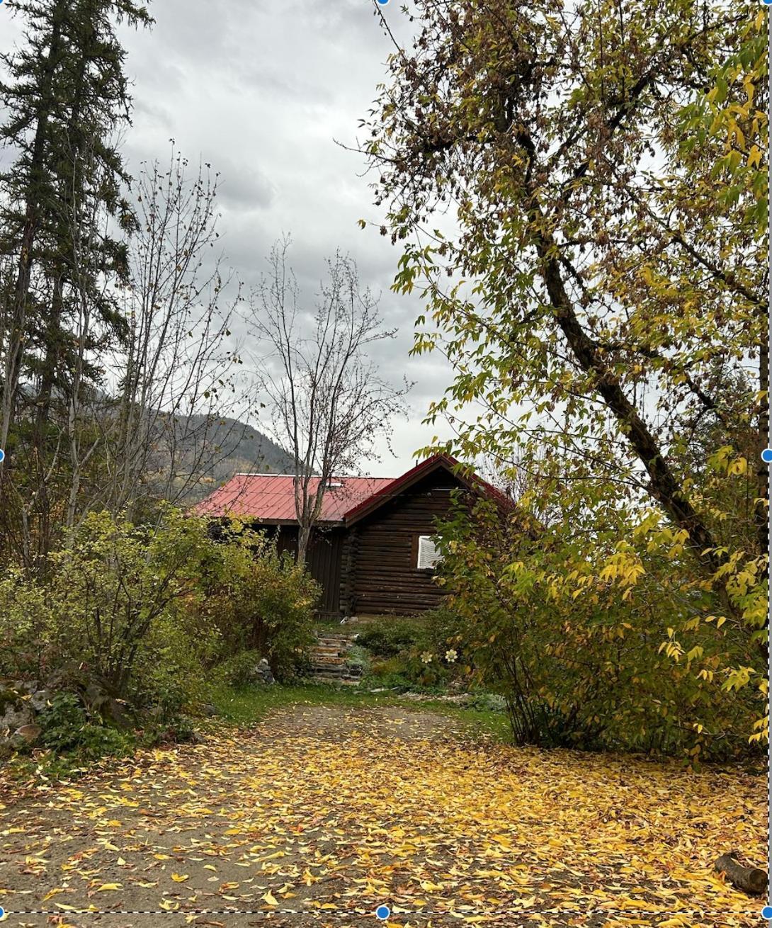 Morning Star Log Cabin Нельсон Номер фото