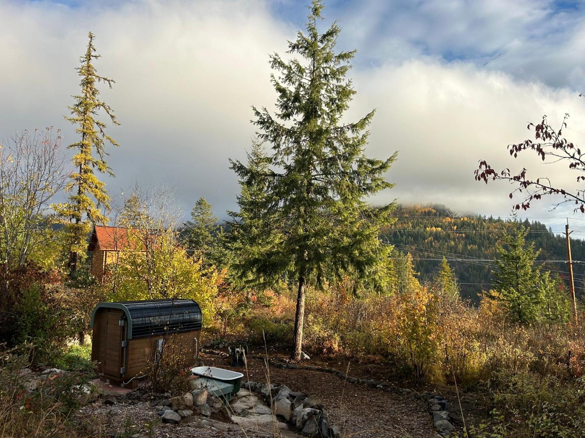 Morning Star Log Cabin Нельсон Номер фото